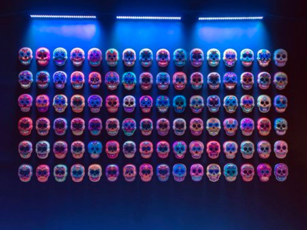 Calavera Art Experience