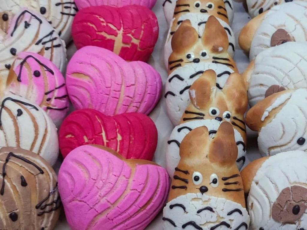 Michiconchas y conchas de totoro en CDMX