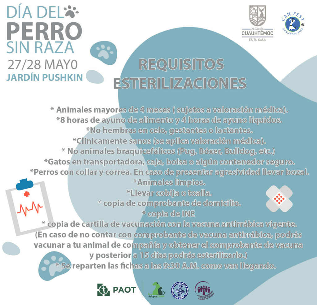 Can Fest celebrará el Día Internacional del Perro sin Raza en CDMX, con servicios y actividades gratuitas.