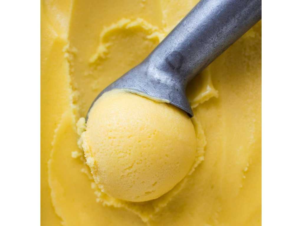 Festival de Helado Mexicano 2023 en Tlalpan