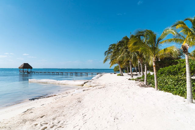 ¿Cuál es la mejor manera de recorrer Cancún en poco tiempo?