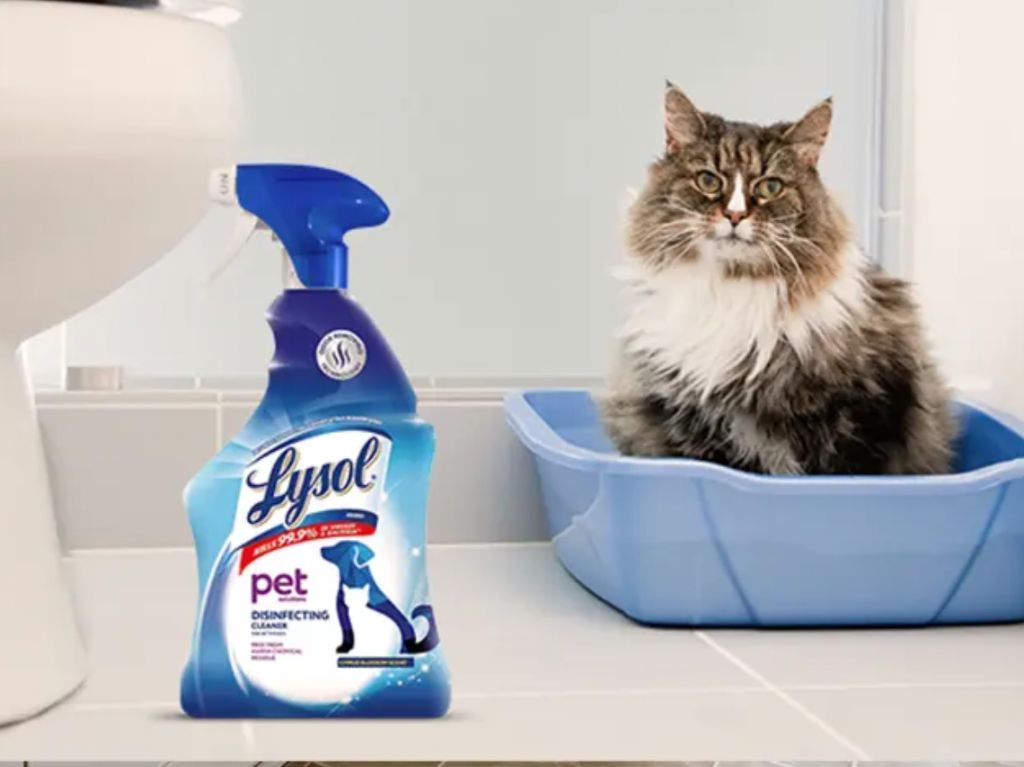 Lysol para mascotas