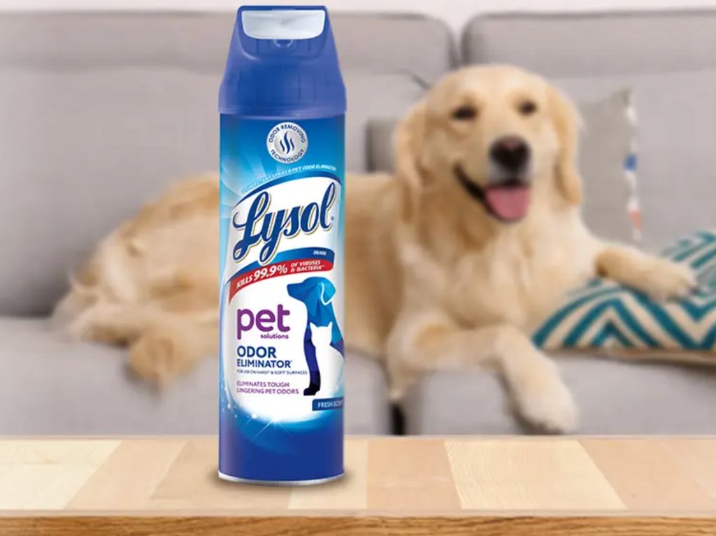 Lysol te ayuda a desinfectar hogares con mascotas