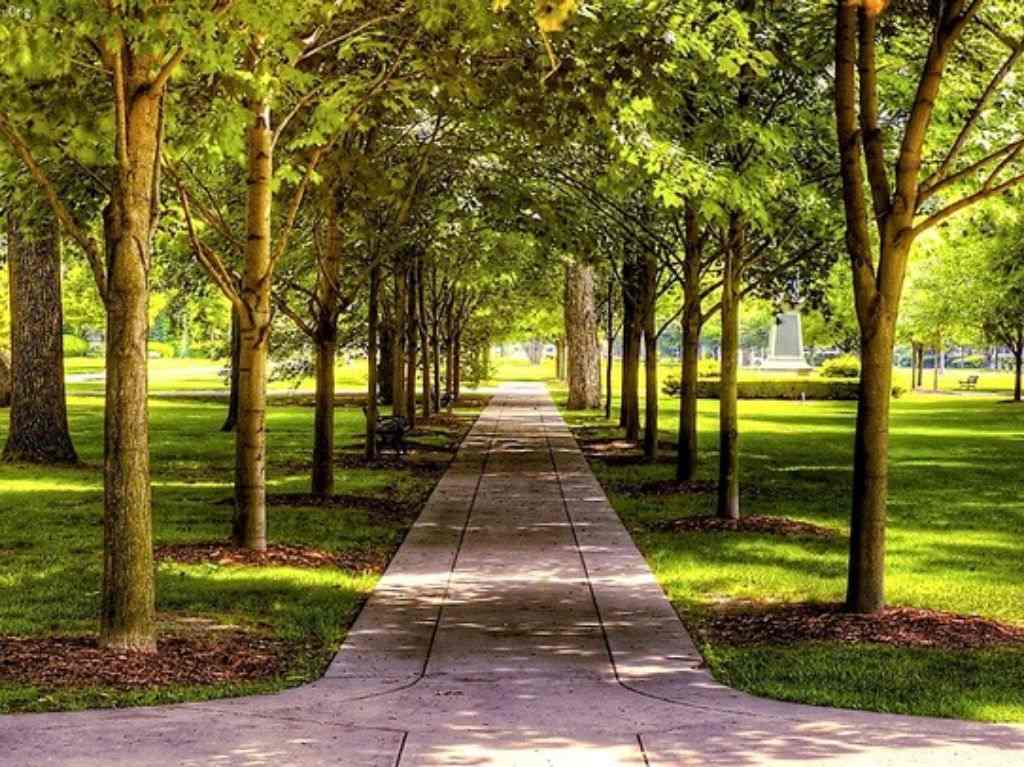 Parque Circuito Gandhi