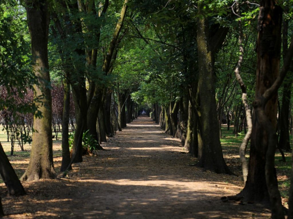 Parque Viveros de Coyoacán