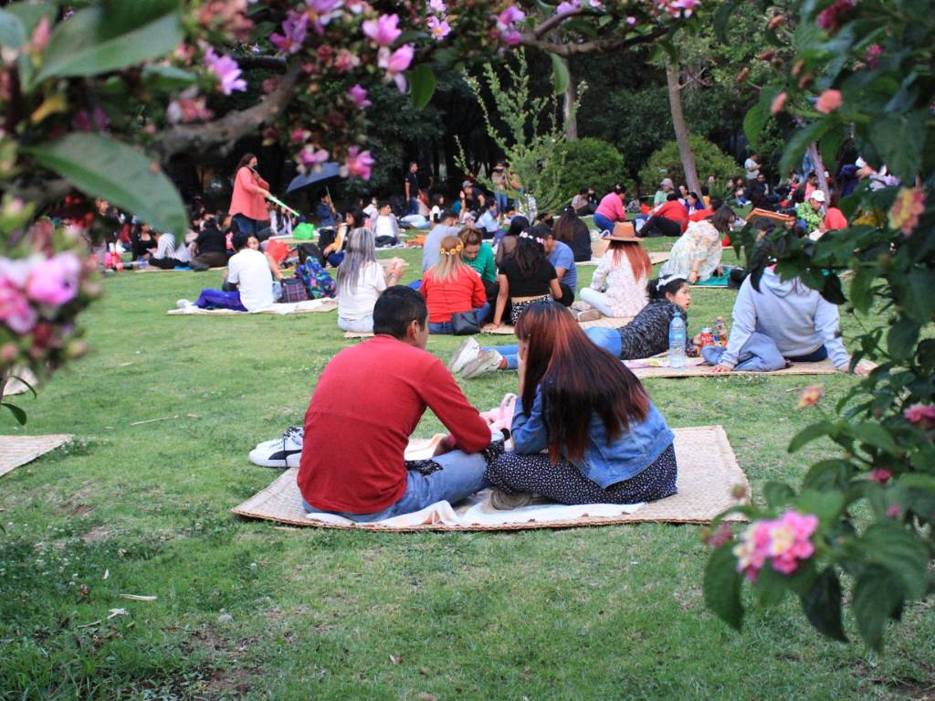 Habrá picnic nocturno en Chapultepec en mayo ¡Es GRATIS!