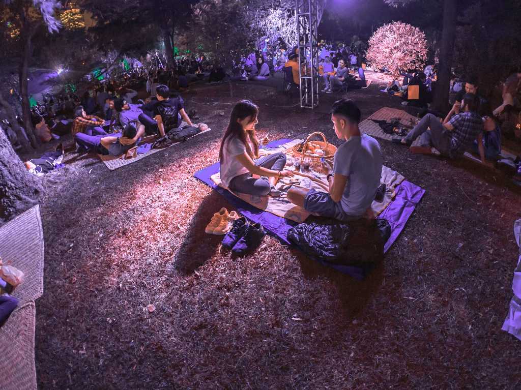 Picnic Nocturno en Chapultepec