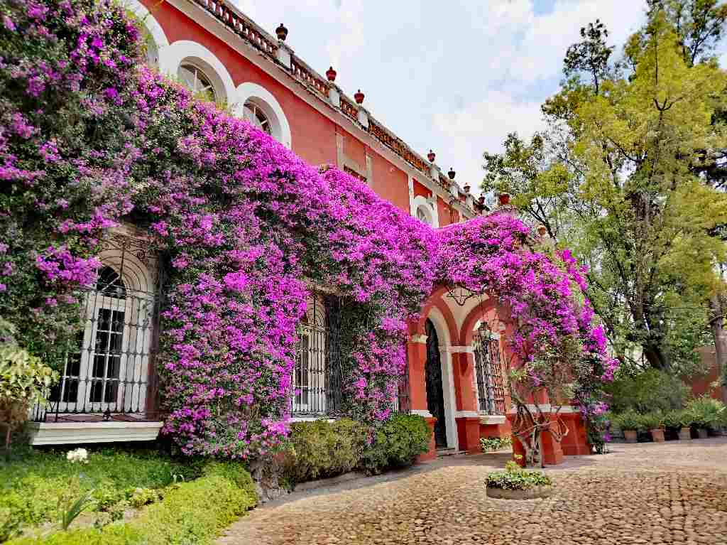 Fachadas coloridas en un encantador barrio colonial de la Ciudad de México