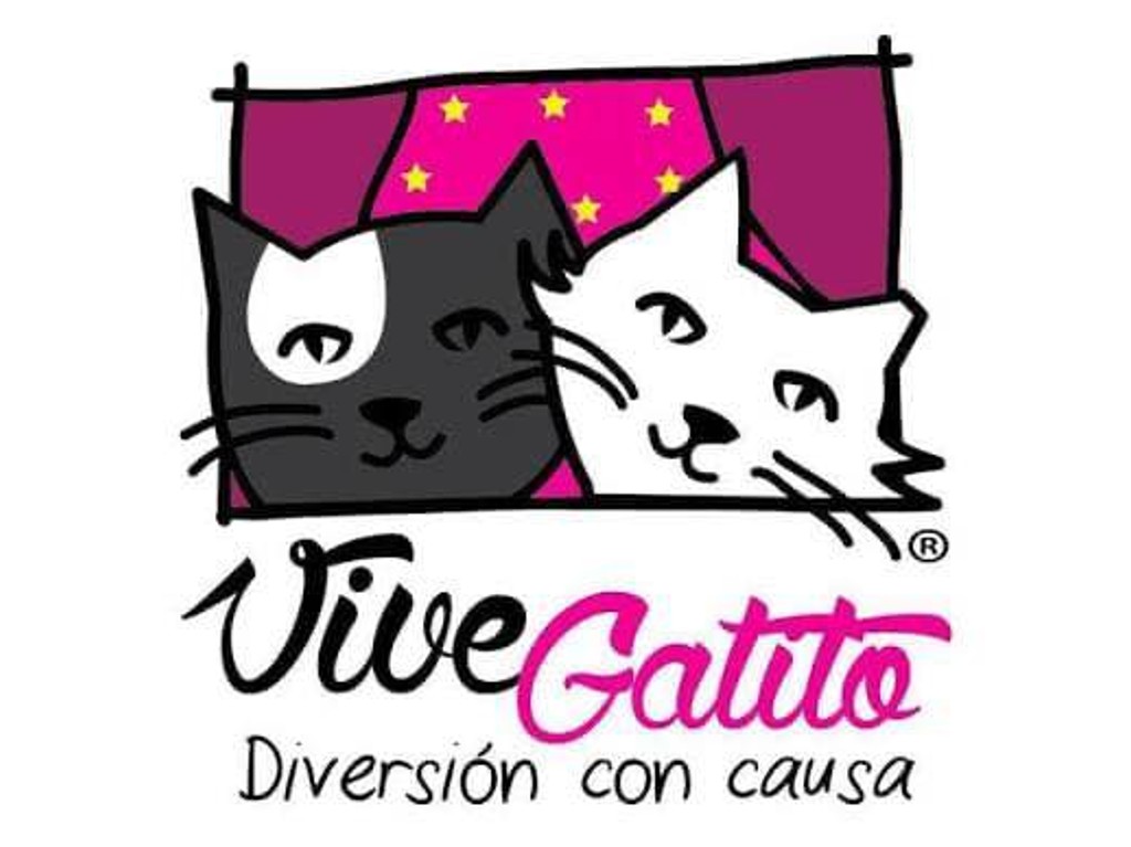 Expo Vive Gatitos