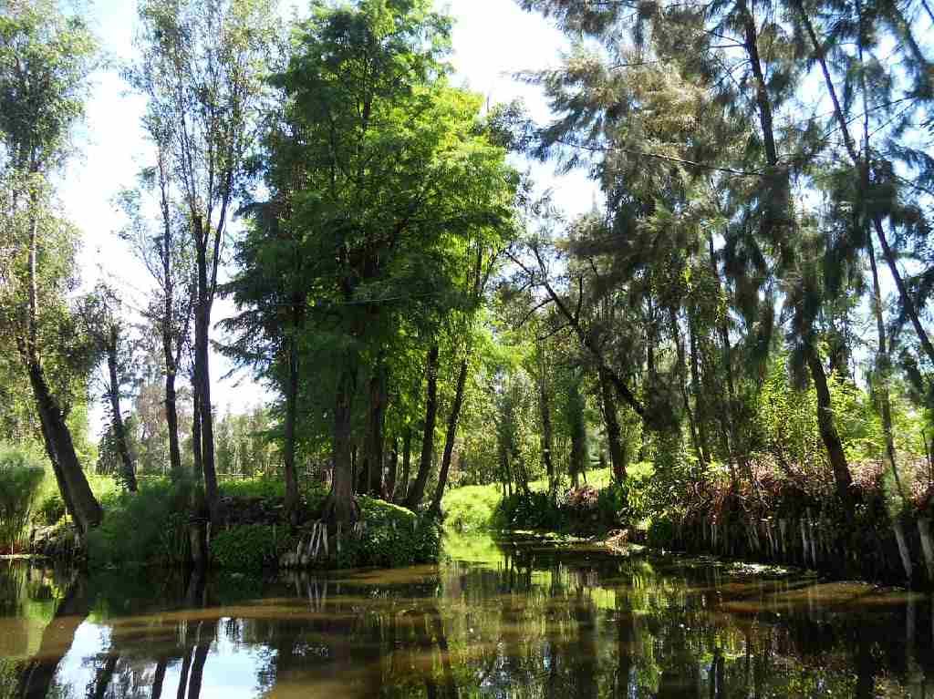 Xochimilco Canal.