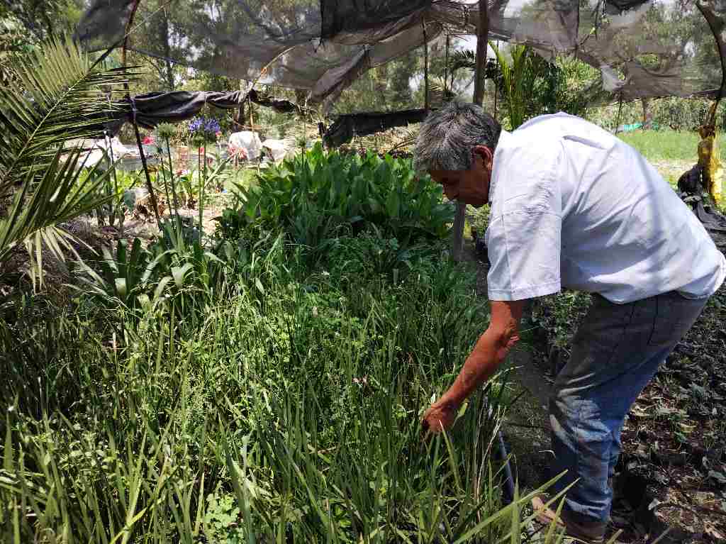 Xochimilco Ranchito.