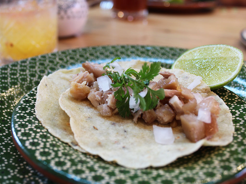 Taco de Carnitas comida michoacana Pariente