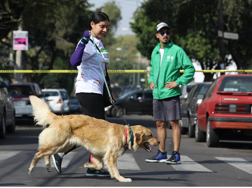 caminata de perros UNAM 2023