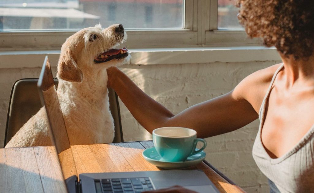 Café y perro