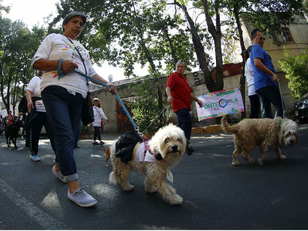 ¡Corre con Firulais en la Carrera y Caminata con mi perro 2023 de la UNAM!