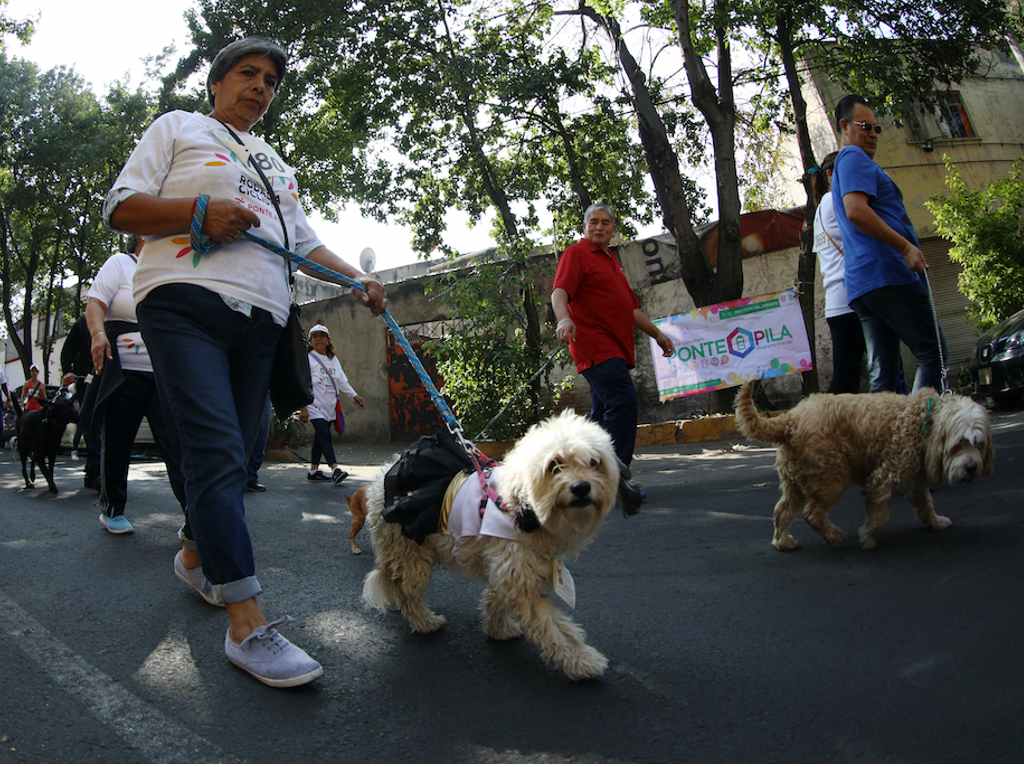 carrera y caminata con mi perro 2023 UNAM