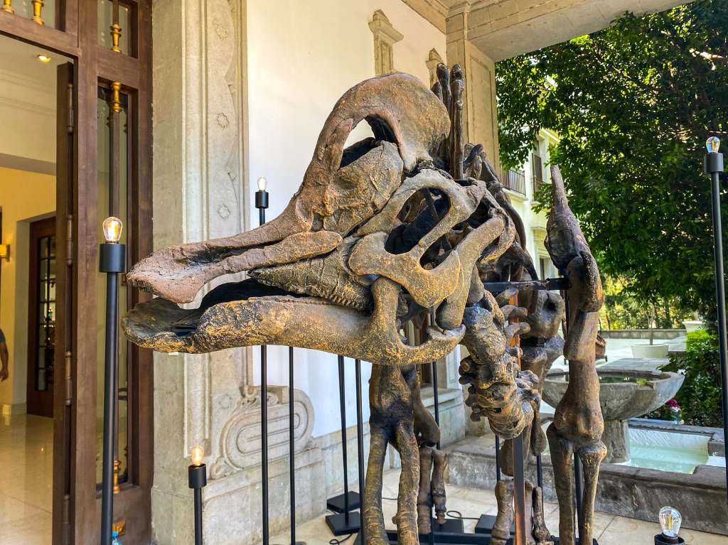 Exposición de dinosaurios en Los Pinos