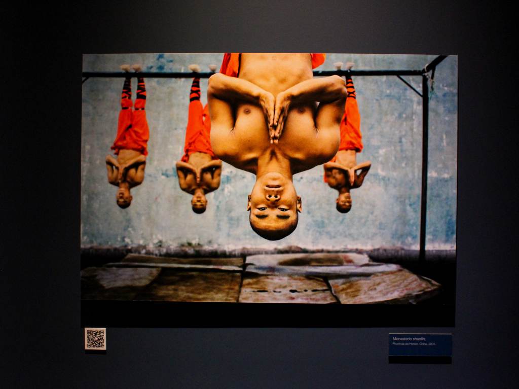 exposiciones-junio-museo-franz-mayer