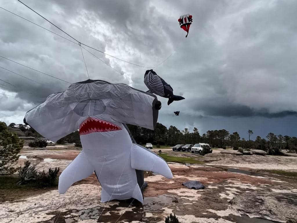 Papalotes en Playa Miramar