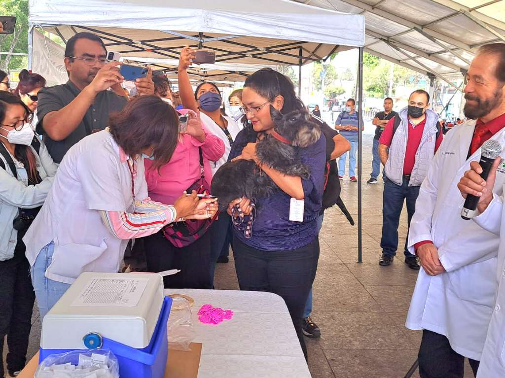 jornada de vacunación para mascotas 2023