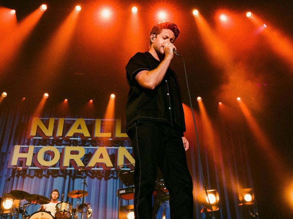 Niall Horan The Show Live on Tour