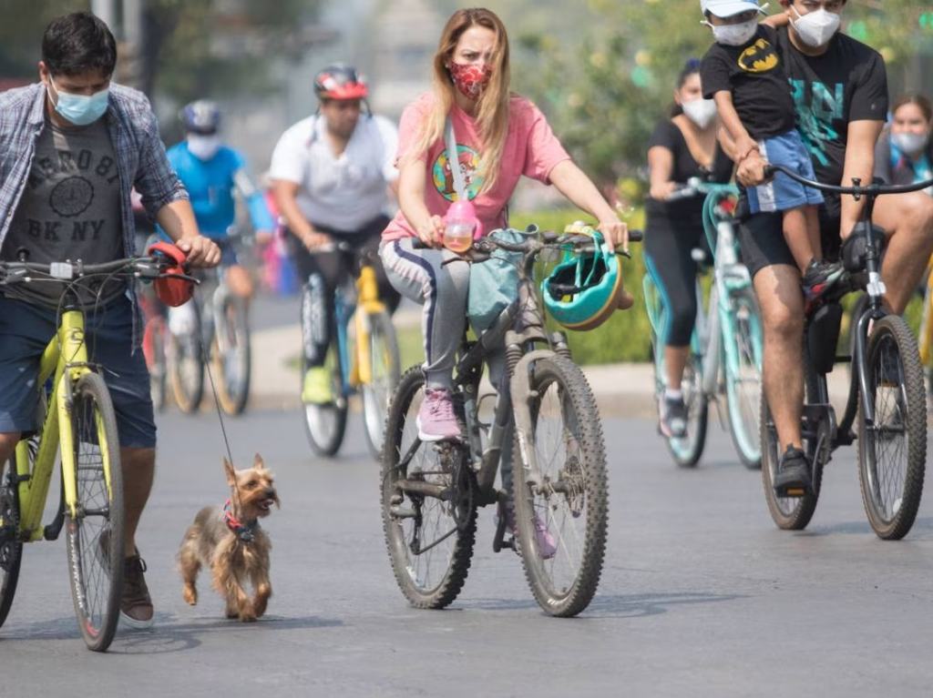 Paseo Dominical en Coyoacán