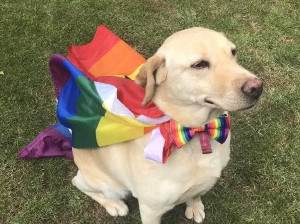 ¡Picnic para celebrar el Día del Orgullo LGBT+ en Los Pinos!
