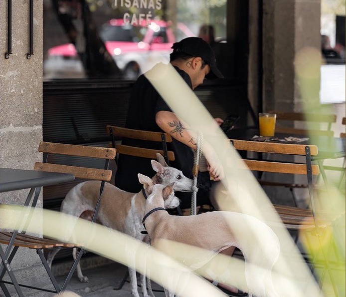 Cafetería Pet Friendly en CDMX