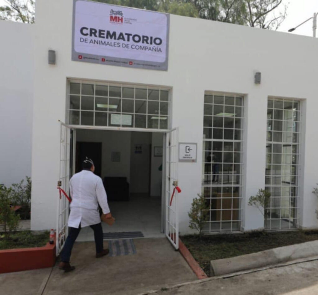 Xoloitzcuintle, el primer crematorio público para mascotas en CDMX