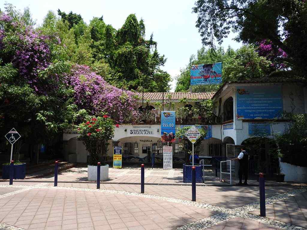 Conoce el balneario más barato que está cerca de la CDMX
