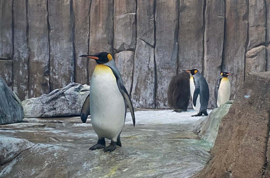 Visita el Biodome de Montreal