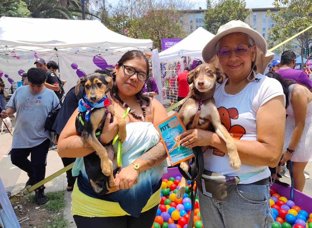 Can Fest celebrará el Día Mundial del Perro con evento gratuito en CDMX 2