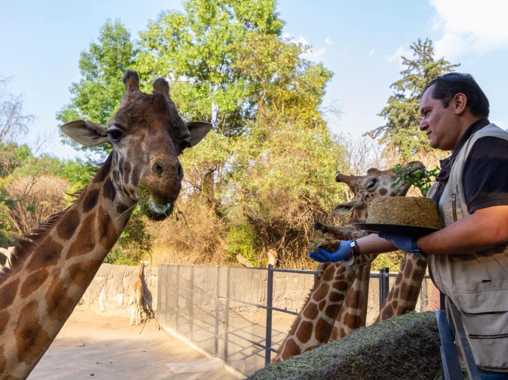 Desfile de disfraces en el zoológico de Chapultepec