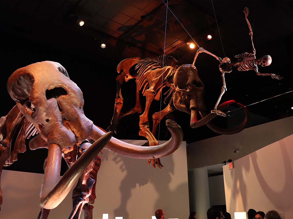 Museo de Historia Natural de Houston