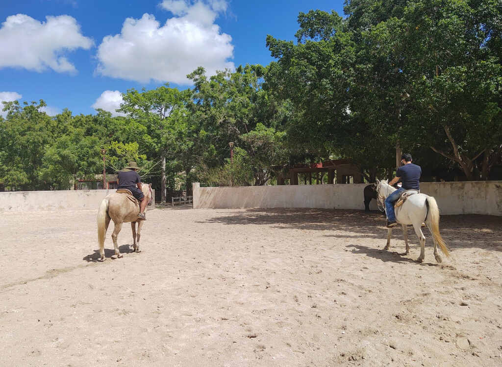 Dónde ir en Yucatán: los mejores lugares, actividades y restaurantes 9