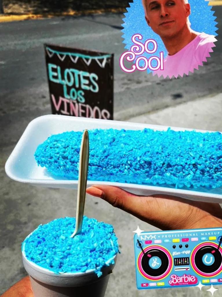 Barbielotes y Ken elotes