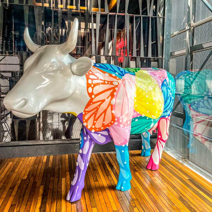 Restaurante Miralto y Torre Latino traen este verano para ti la estampida de CowParade 1