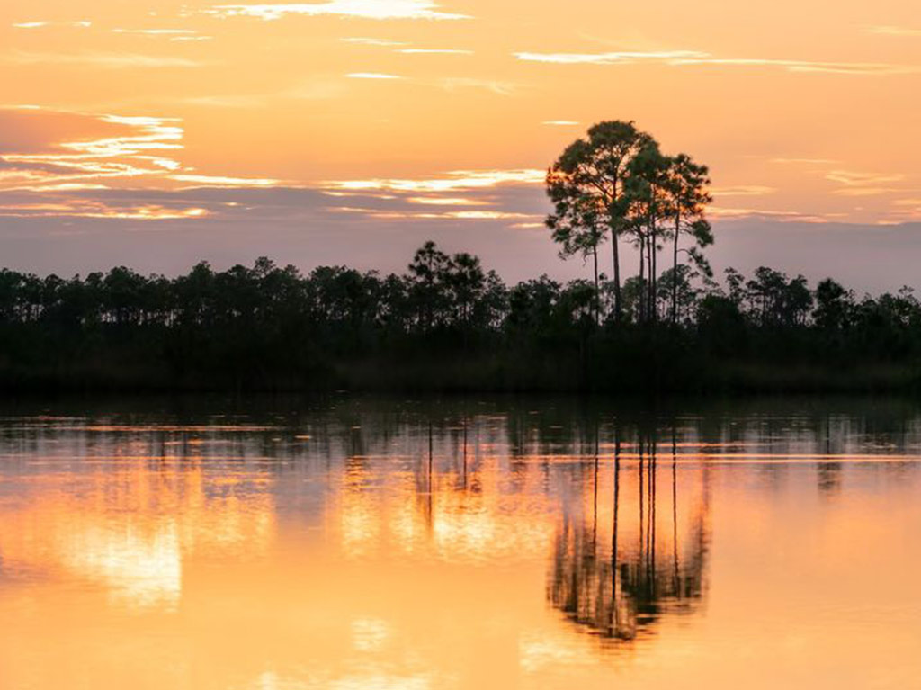 Guía de vacaciones familiar en Florida: 7 lugares que debes visitar