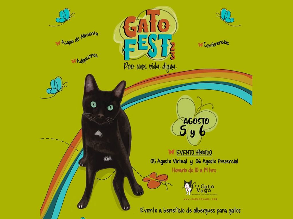 gato fest 2023 cdmx