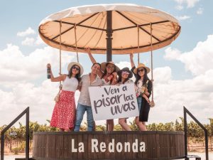 Temporada de Vendimia en Viñedos La Redonda