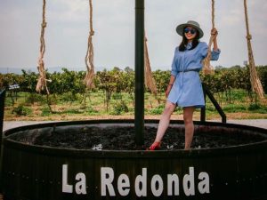 Lánzate a conocer 6 viñedos con pisado de uvas en México