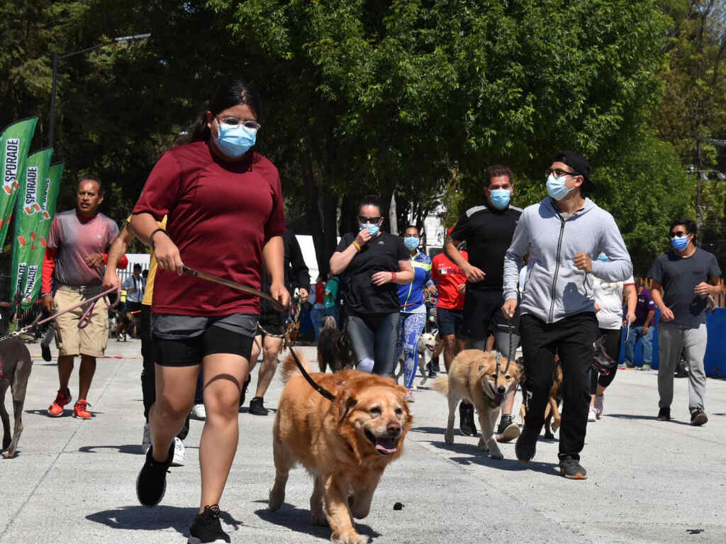 Segundo Maratón canino 2023 en Coyoacán