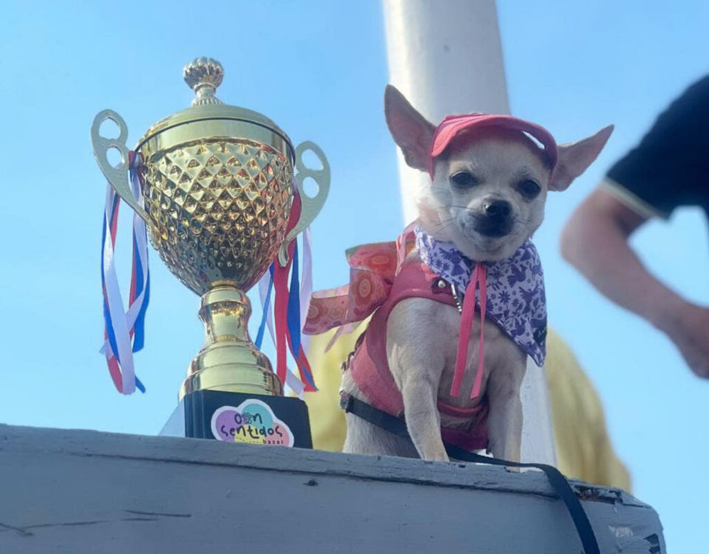 Segundo Maratón canino 2023 en Coyoacán
