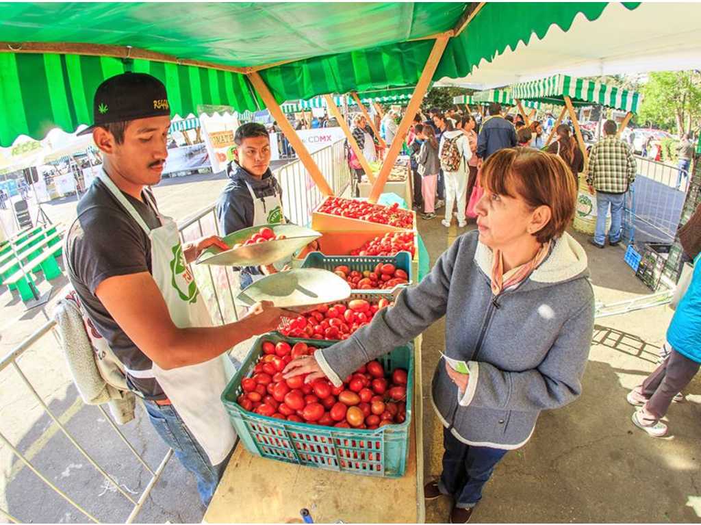 mercado de trueque azcapotzalco