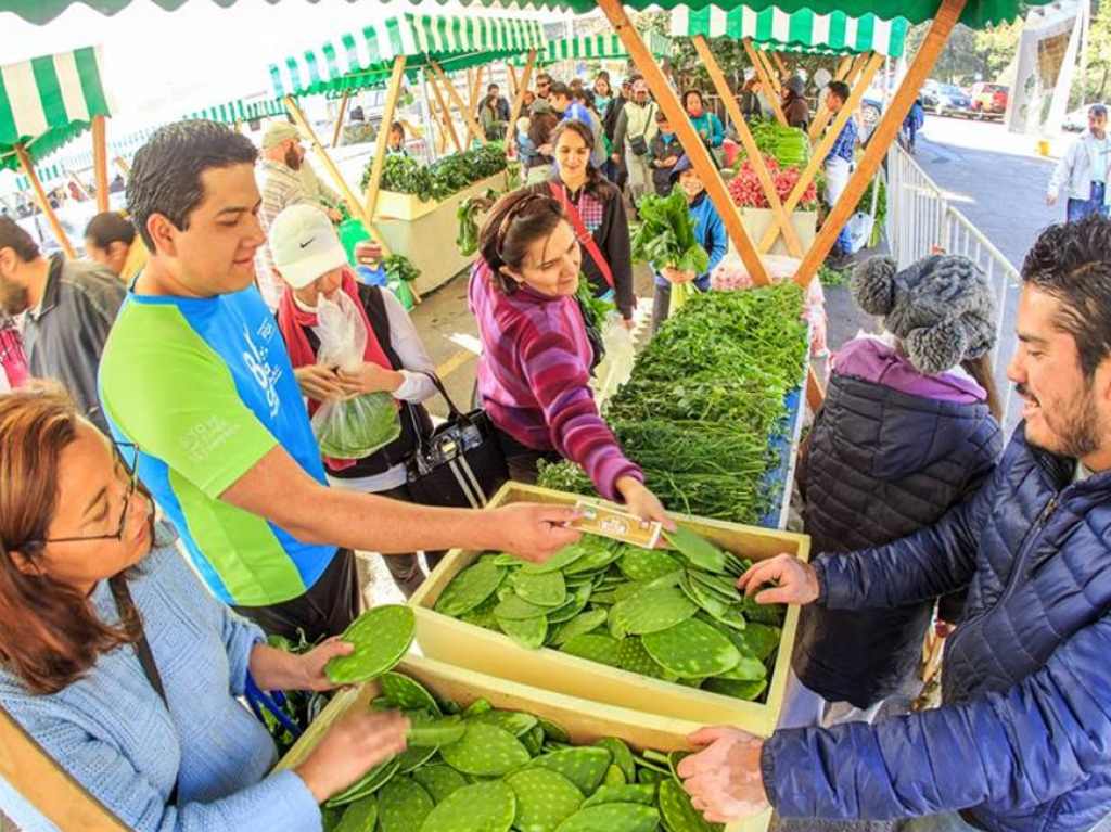 mercado de trueque en el parque tezozomoc