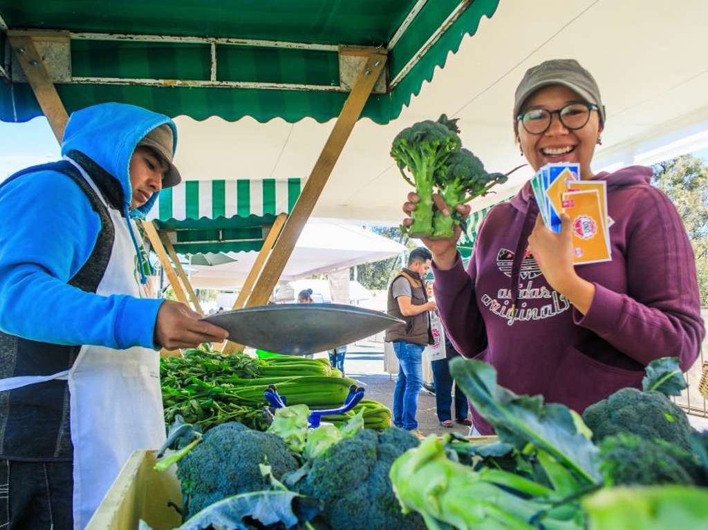 mercado de trueque en parque tezozomoc