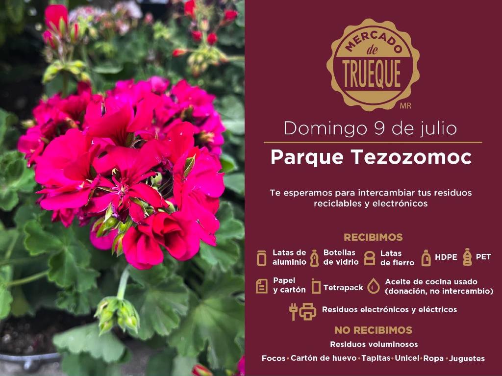 mercado de trueque parque tezozomoc