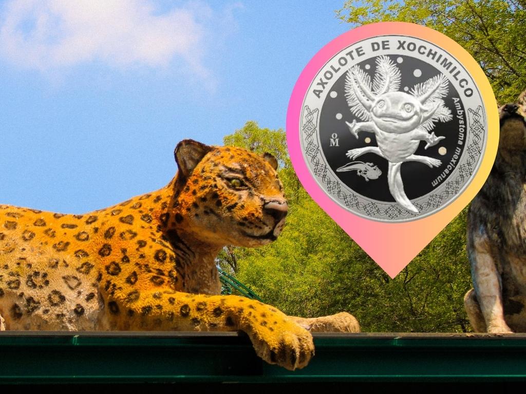 ¡La cuarta es la vencida! Lanzarán a la venta más monedas conmemorativas de Chapultepec