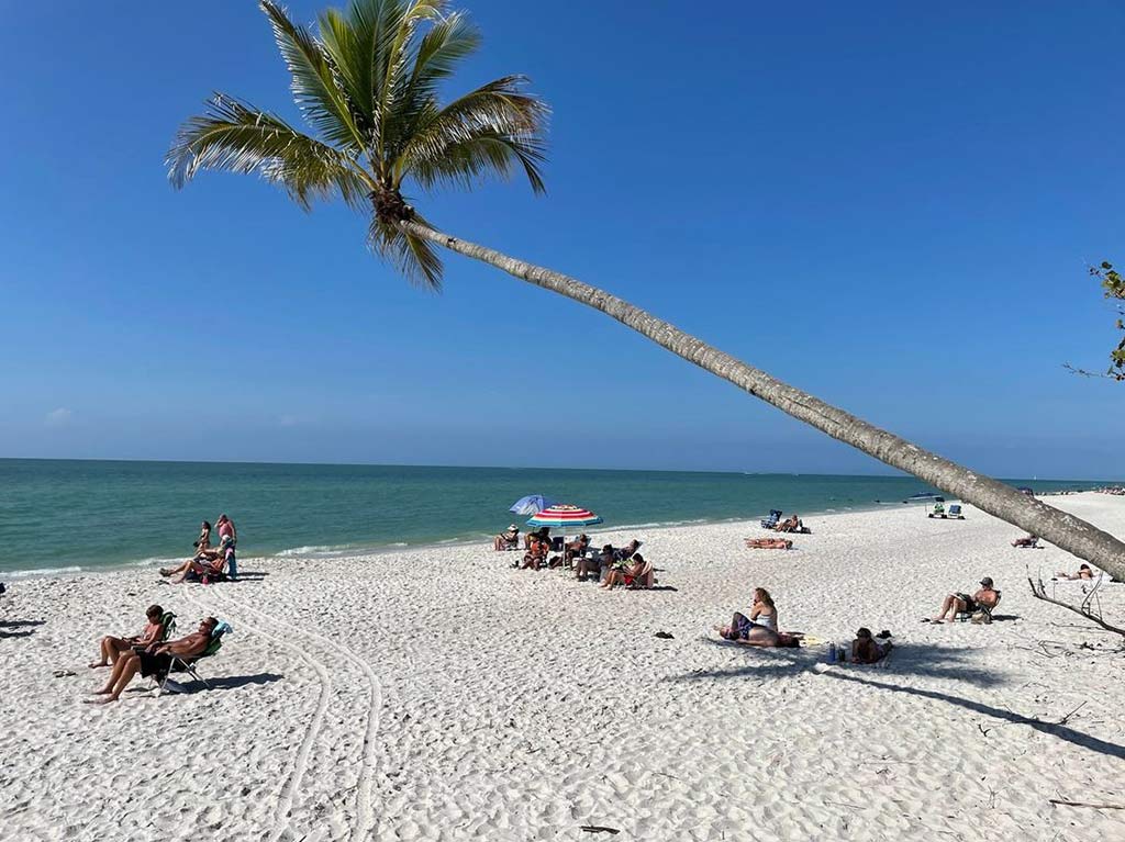 Guía de vacaciones familiar en Florida: 7 lugares que debes visitar