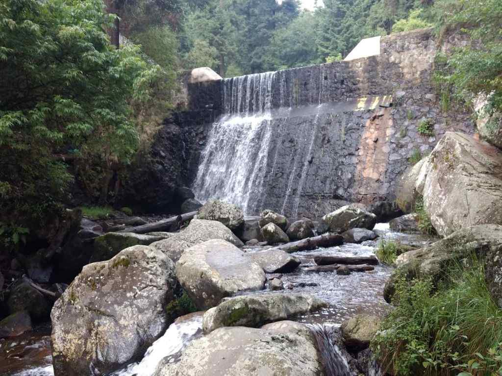 Parque la Cañada y los Dinamos